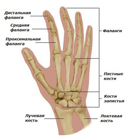 artritas bendros asmens dešinės rankos skausmas