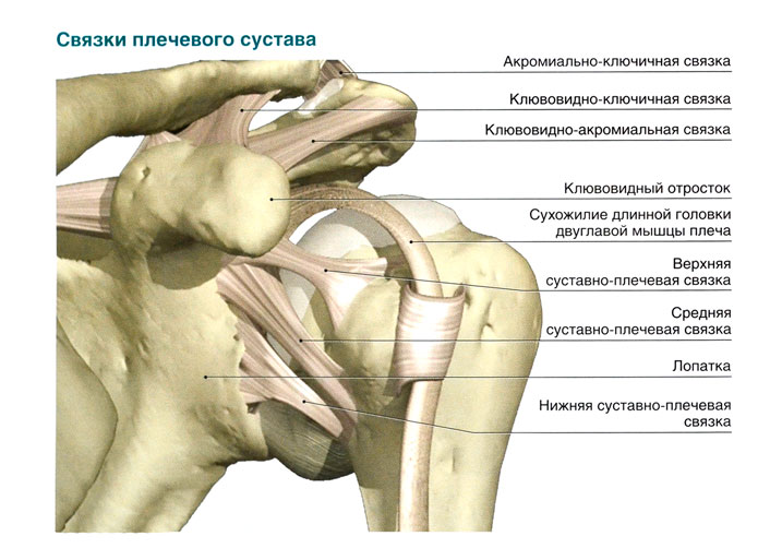 artrozė iš galvos sustav