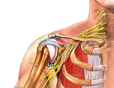 artrito formų jungtys pirštikaulių rankos delno skausmas