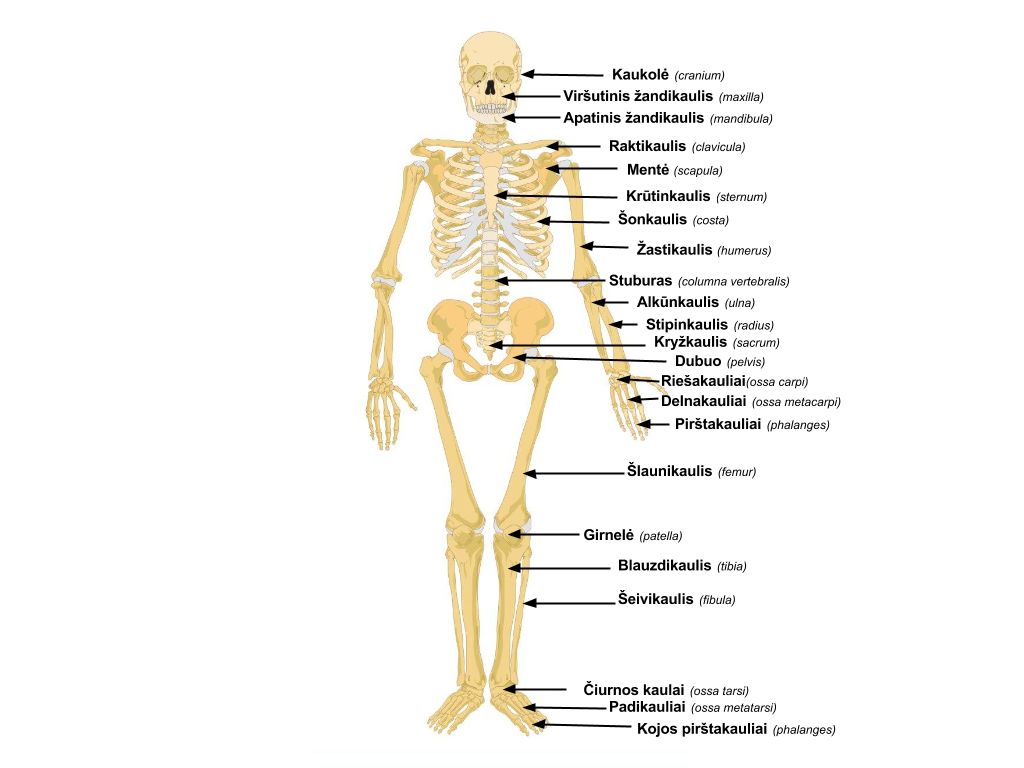 kaip pašalinti skeletas patinimas artrozės metu liaudies metodai iš skausmas rankų sąnarius
