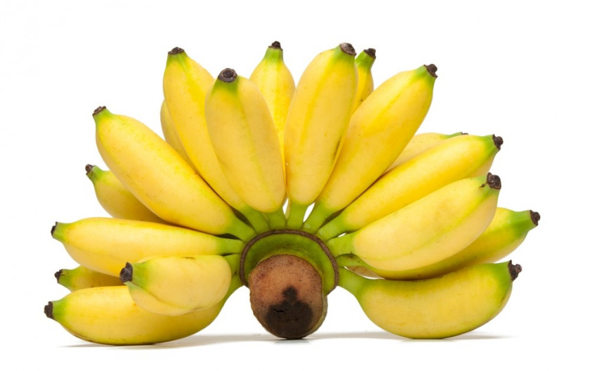 bananų ir sąnarių gydymas sąnarių ligomis viščiukų