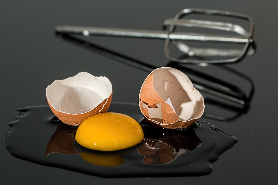 kiaušinio baltymo gydymas sąnarių