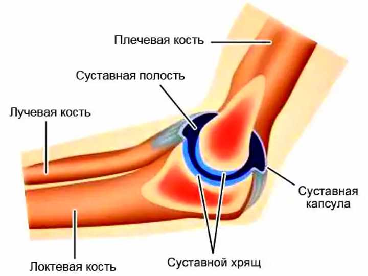 milgamma sustav skausmas artritas piršto rankas gydymas tepalai