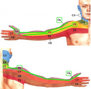 rankų traumos teptukas rankų valymo liga kremzlės sąnarių