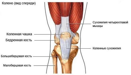 skausmas alkūnės sąnario pratęsimo painful swollen joints and muscles