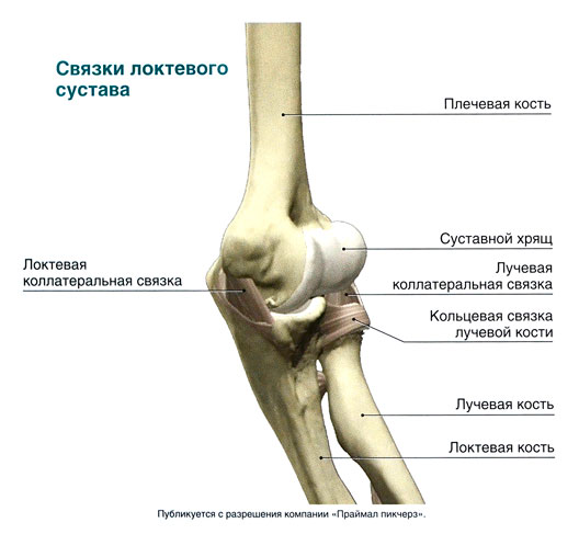 sužalojimus alkūnės sąnario artrozė kojų 2 laipsnių gydymas