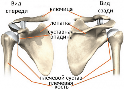 įrankiai ryšulius sąnarių skausmas stambiųjų sąnarių ir nugaros