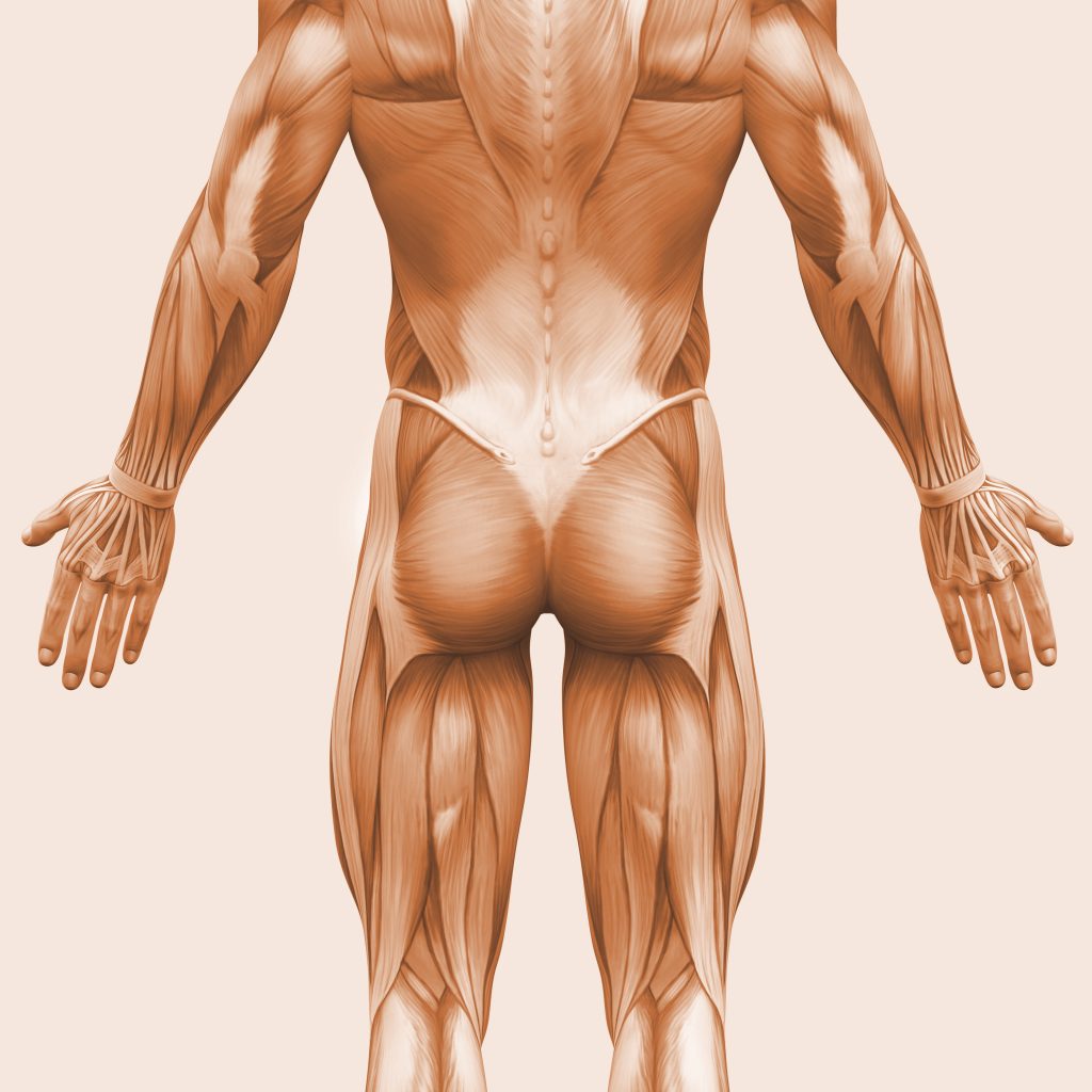 bold sąnarių ir raumenų sėdmenų ilgalaikis skausmas