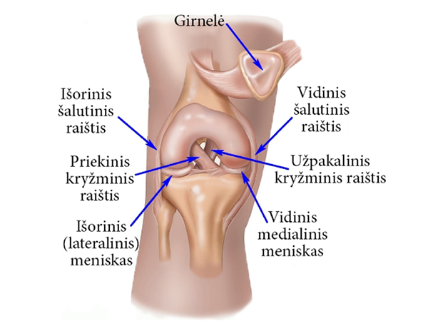 swelling in pain joints